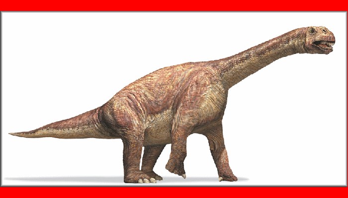 Cathetosaurus