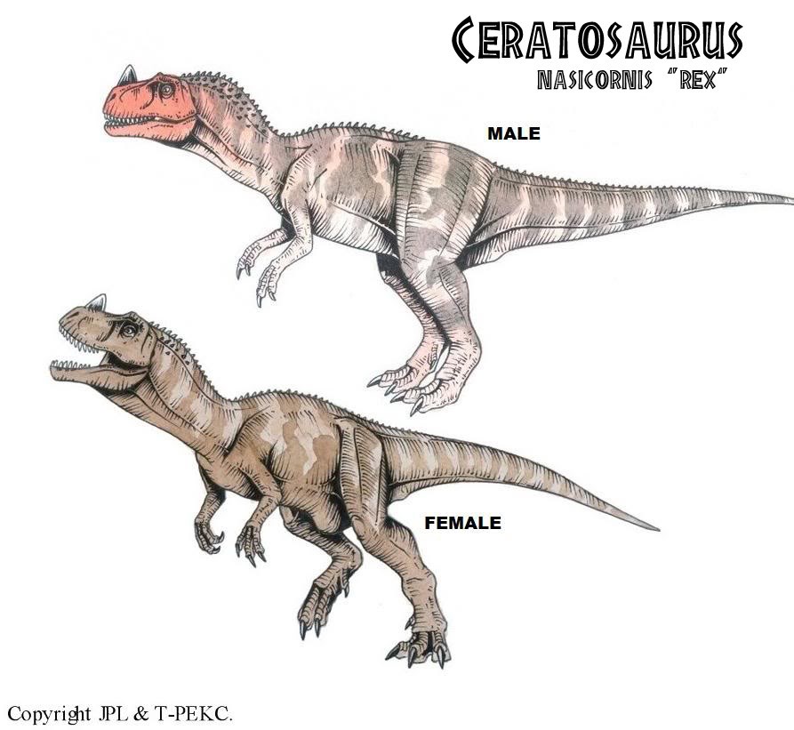 Ceratosaurus was a carnivorous theropod dinosaur in the Late