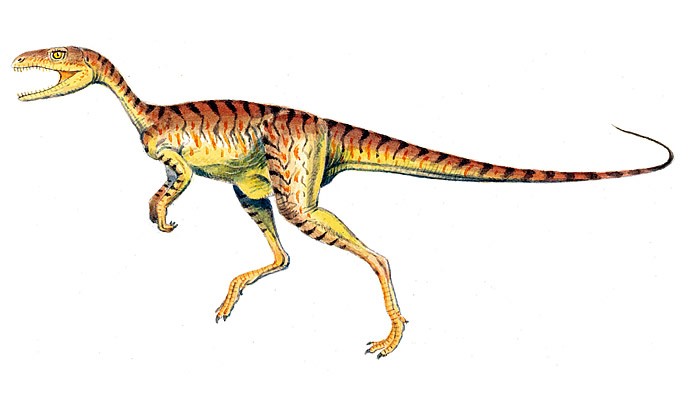 Chindesaurus
(Чиндезавр), Triassic
(Триасовый период)