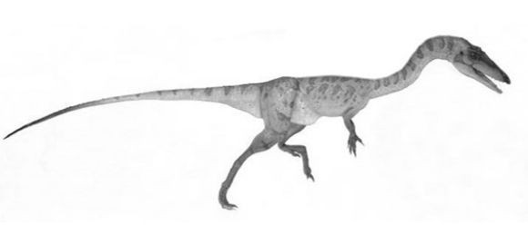 Compsosuchus, Cretaceous
(Меловой период)