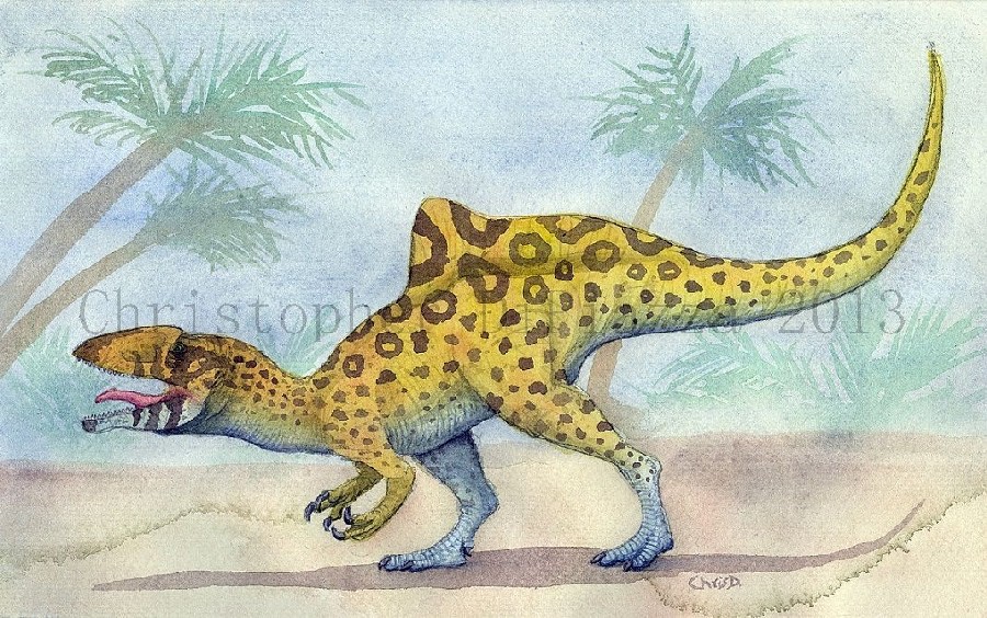 Concavenator Pictures Facts The Dinosaur Database