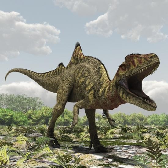 Concavenator Pictures Facts The Dinosaur Database