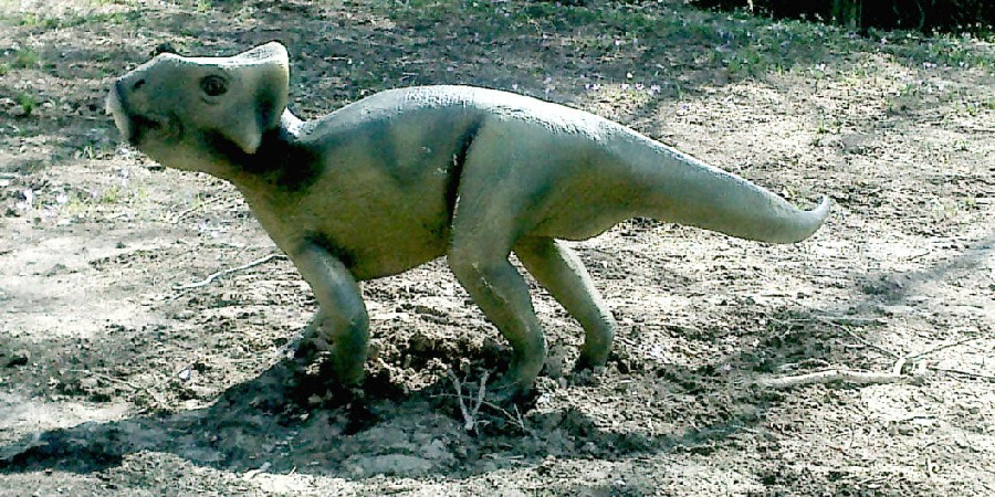 Craspedodon, Cretaceous
(Меловой период)