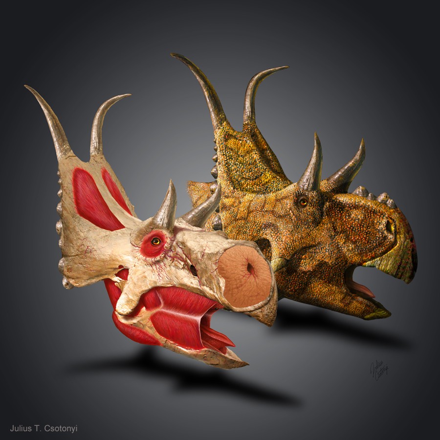 Diabloceratops
