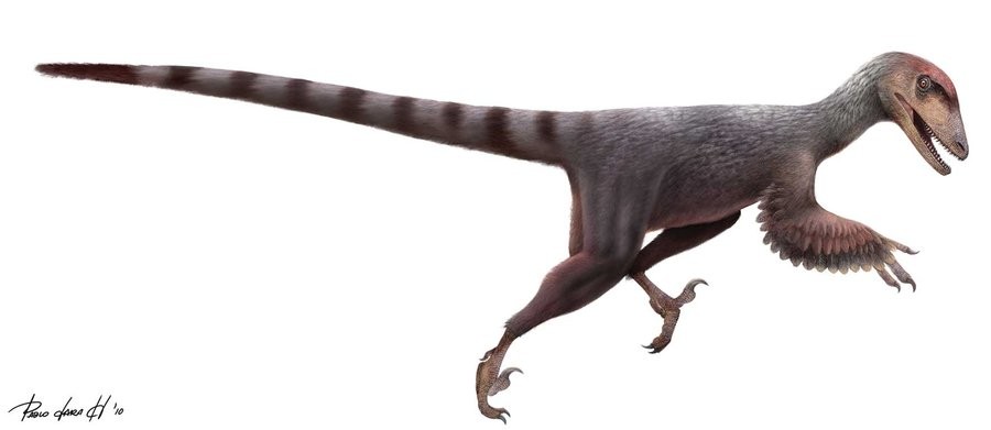 Deinonychus Pictures & Facts - The Dinosaur Database