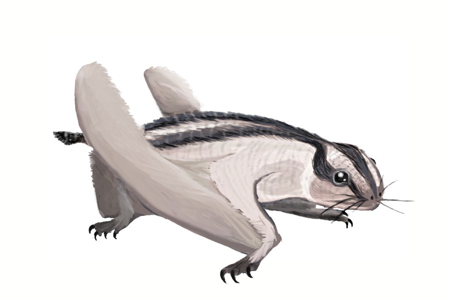 Dendrorhynchoides, Late Jurassic or Early Cretaceous