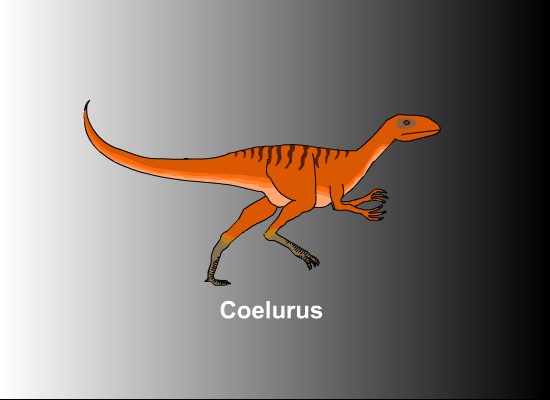 Coelurus