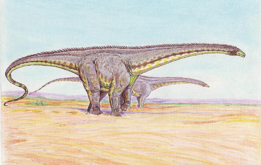 File:Diplodocus4.jpg - Wikipedia