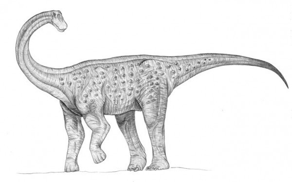 Domeykosaurus