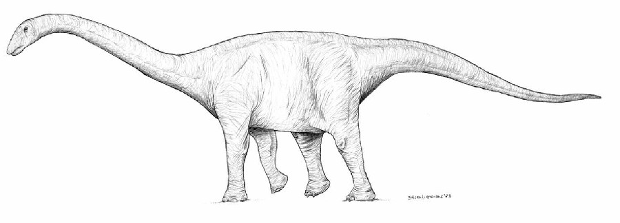Domeykosaurus