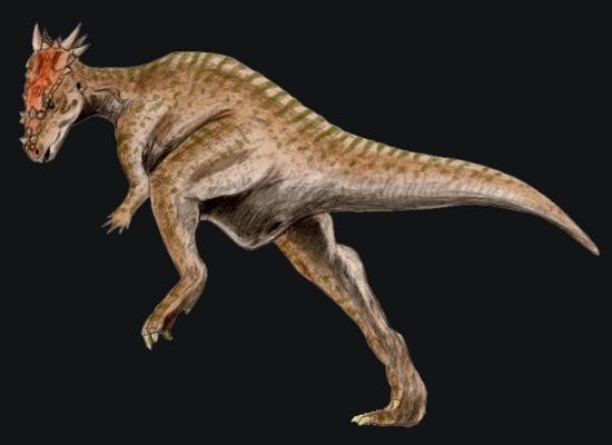 Dracorex