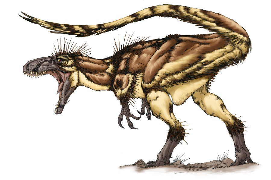 Dryptosaurus
