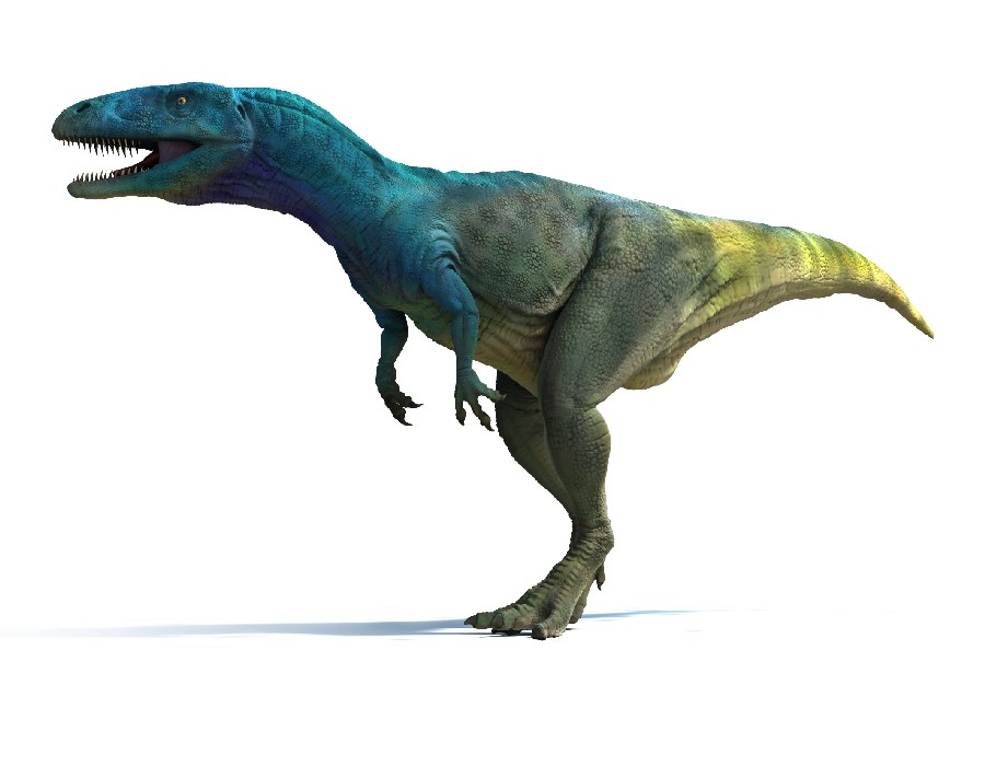 Dubreuillosaurus