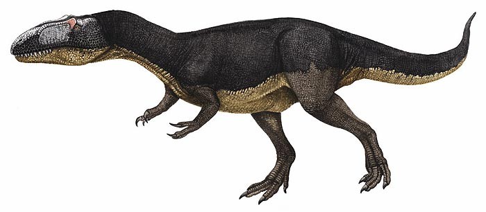 Dubreuillosaurus