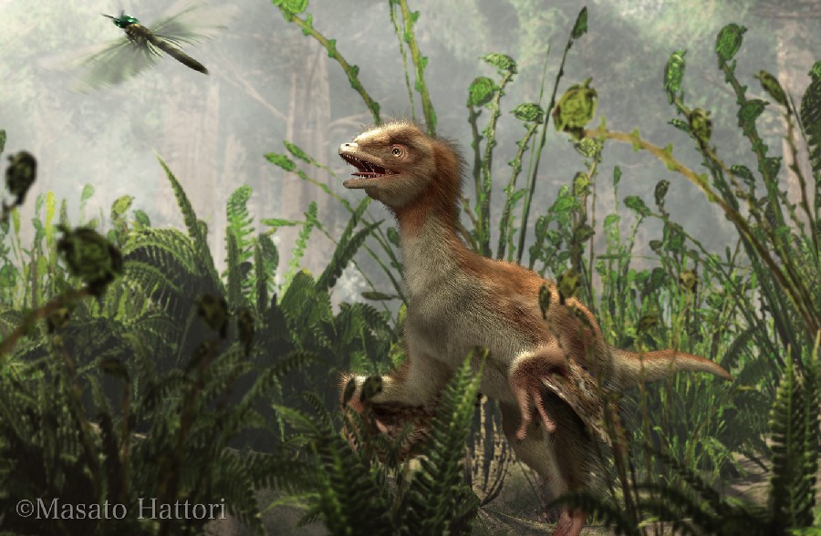 Eosinopteryx, Jurassic
(Юрский период)