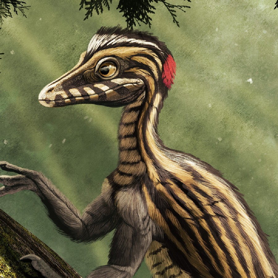 Epidendrosaurus