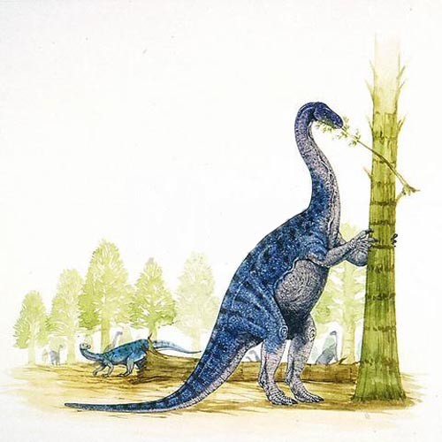 Euskelosaurus