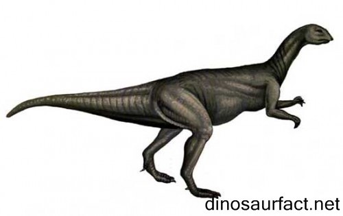 Fabrosaurus, Jurassic
(Юрский период)