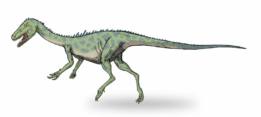 Genusaurus