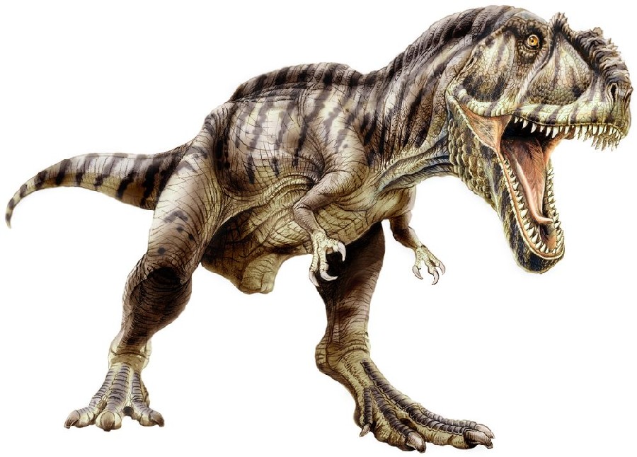 Image result for giganotosaurus