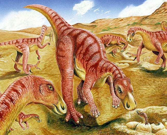 Gilmoreosaurus
(Гилмореозавр), Cretaceous
(Меловой период)