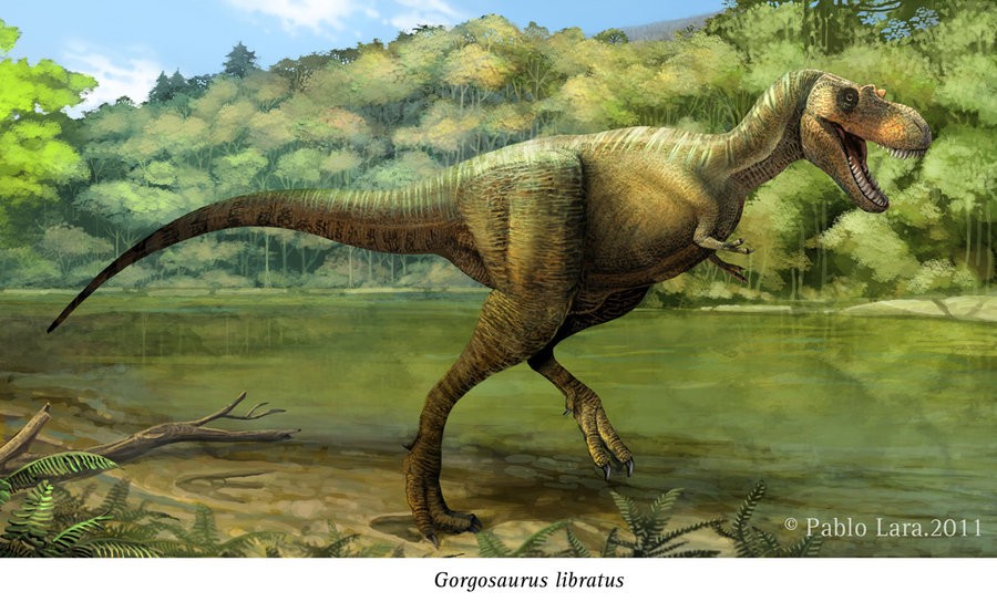 gigantoraptor vs megaraptor