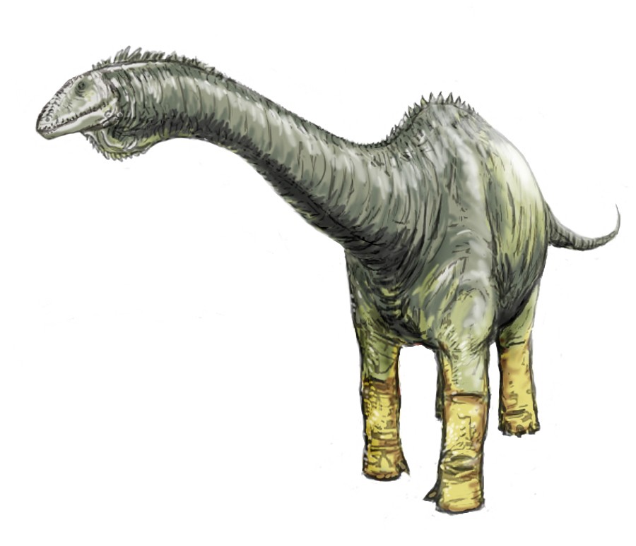 Haplocanthosaurus
(Гаплокантозавр), Jurassic
(Юрский период)