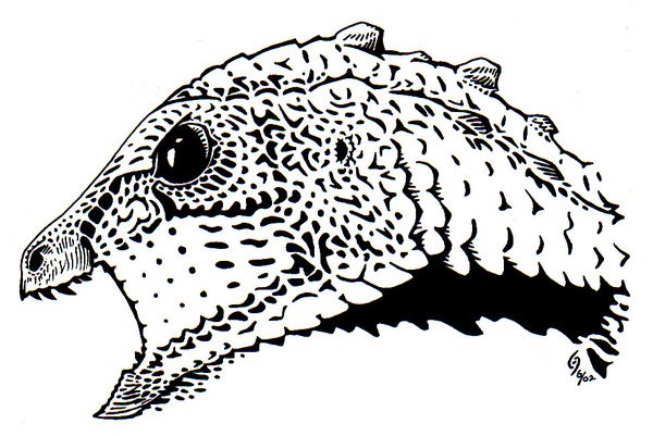 Hexinlusaurus