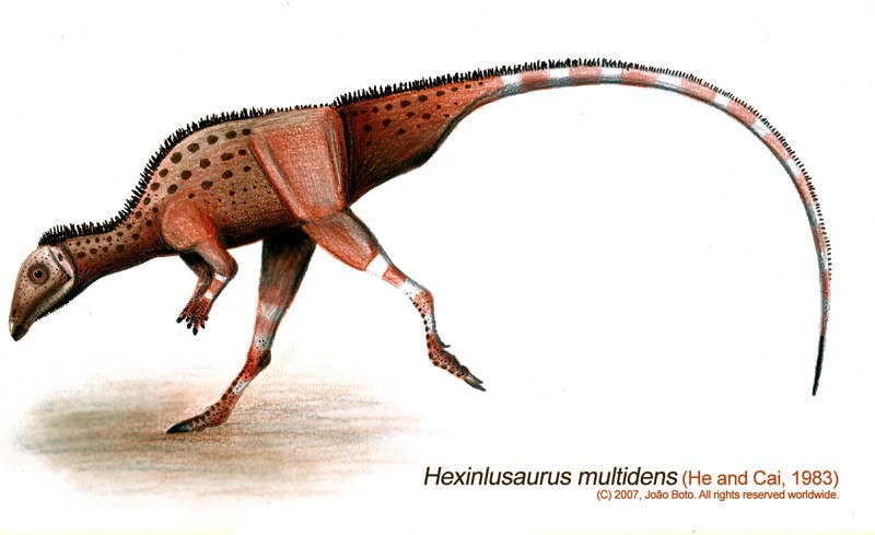Hexinlusaurus