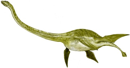 Hydrotherosaurus, 