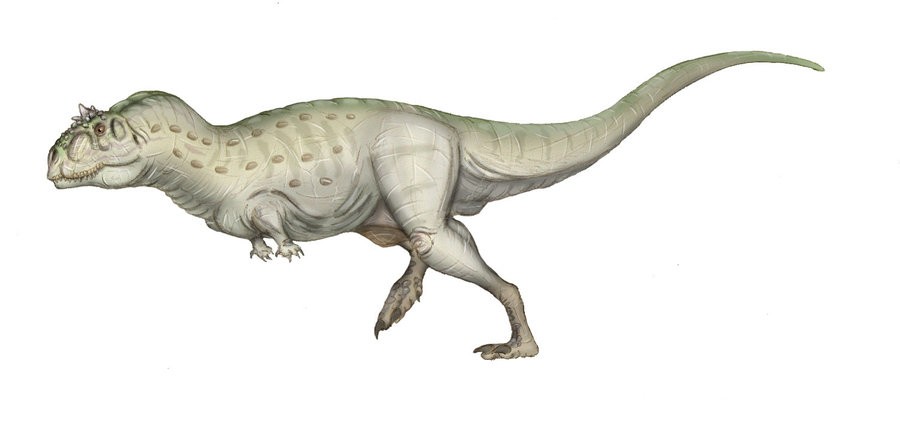 Indosaurus