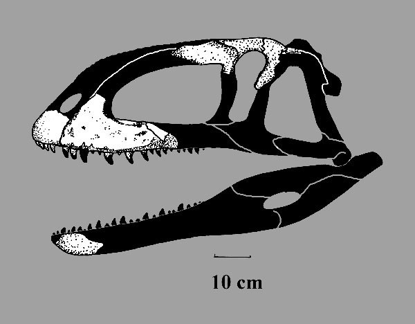 Inosaurus