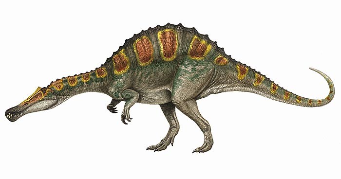 Irritator Pictures Facts The Dinosaur Database