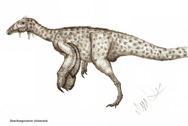 Jianchangosaurus