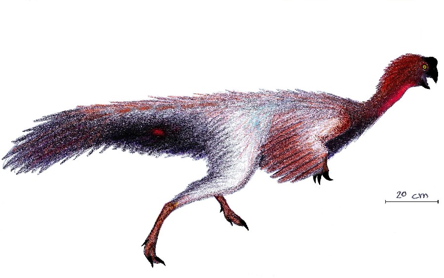 Jiangxisaurus, Cretaceous
(Меловой период)
