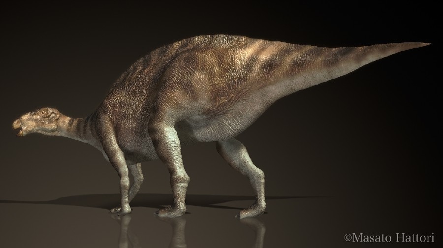 Jintasaurus