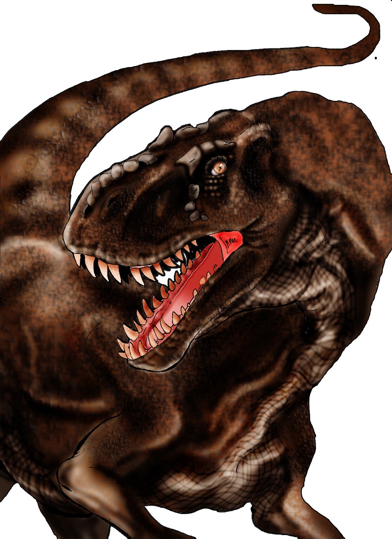 Kaijiangosaurus Pictures Facts The Dinosaur Database