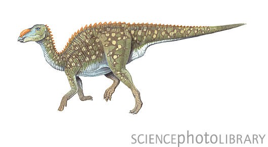 Kerberosaurus
(Керберозавр), Cretaceous
(Меловой период)