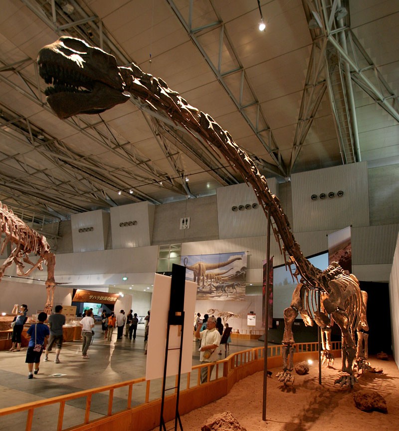 Klamelisaurus