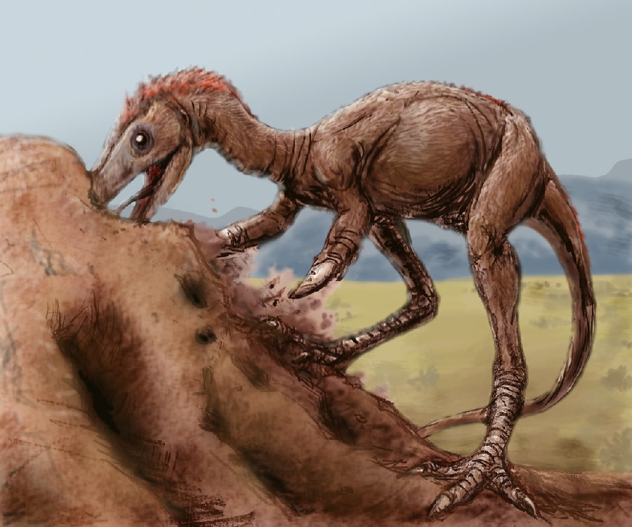 Kol, Cretaceous
(Меловой период)