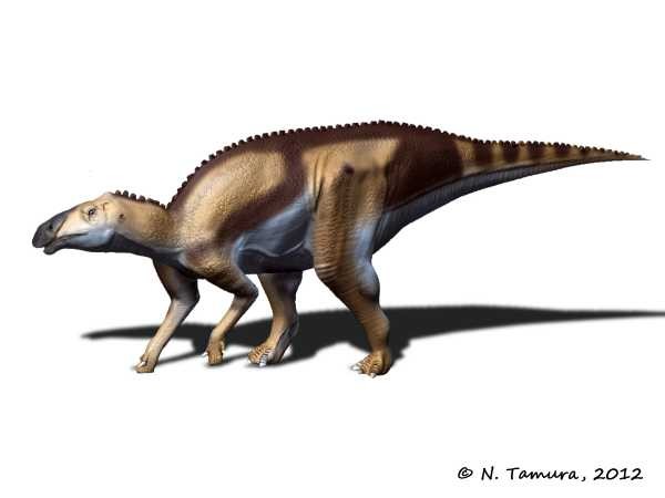 Kundurosaurus, Cretaceous
(Меловой период)
