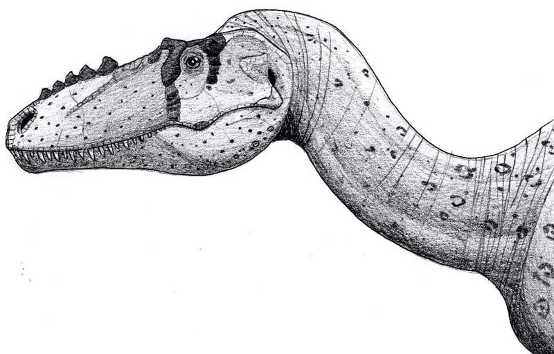 Lametasaurus