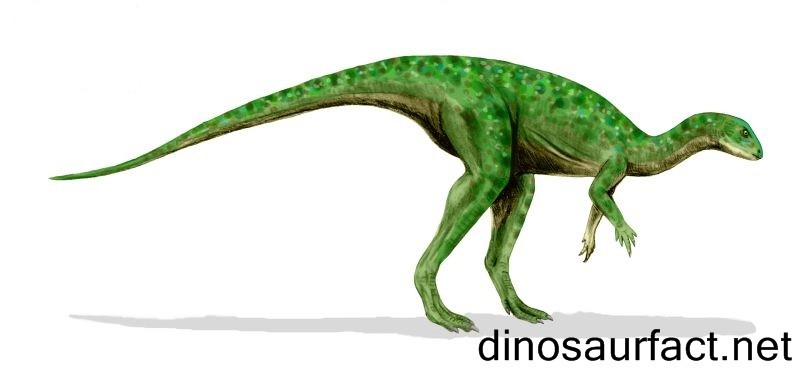 Laosaurus