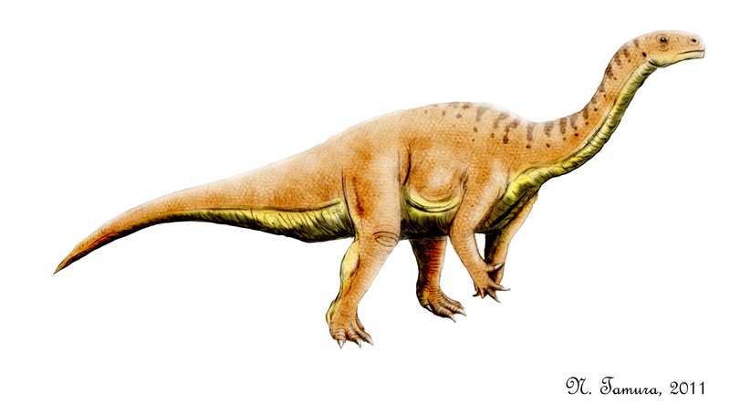 Leonerasaurus