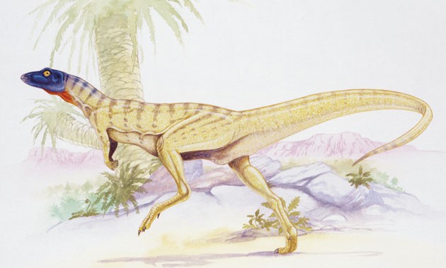 Lesothosaurus