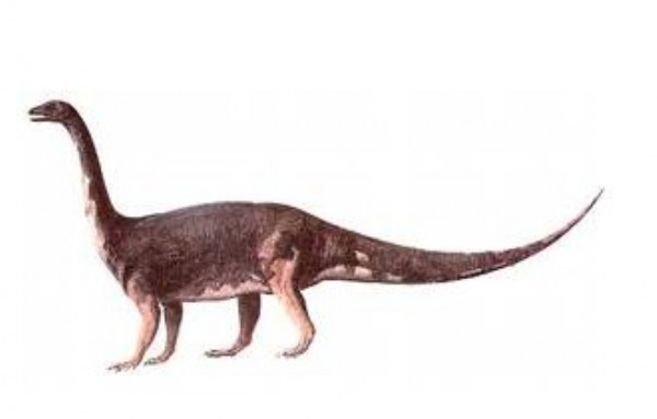 Lessemsaurus