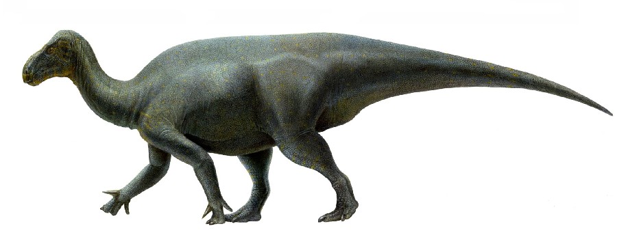 Iguanacolossus, Cretaceous
(Меловой период)