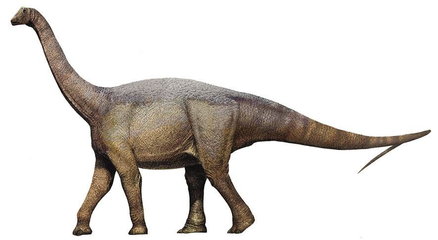 Lirainosaurus