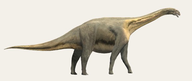 Losillasaurus