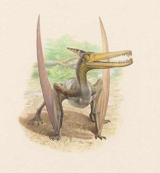 Ludodactylus